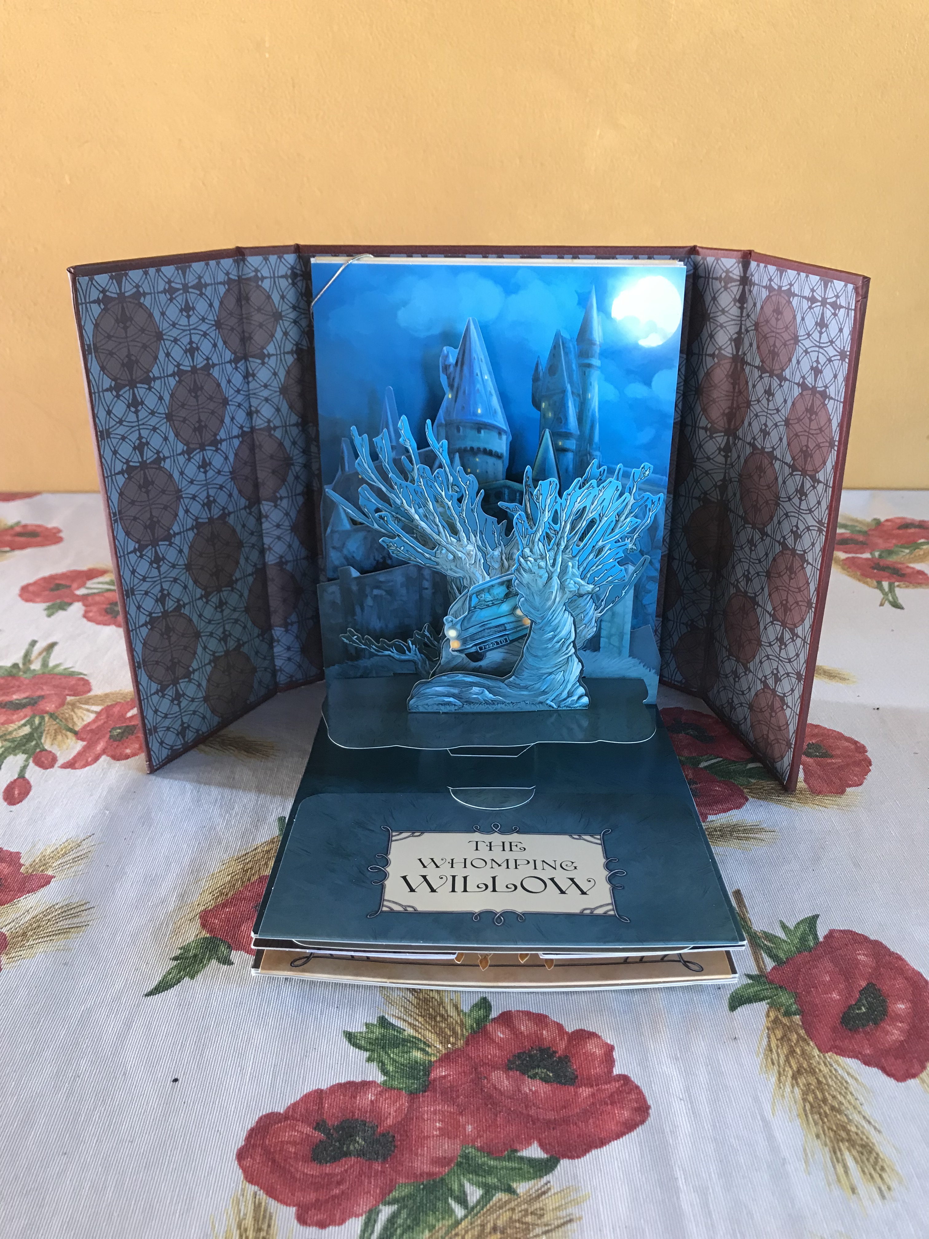 Harry Potter. Hogwarts. Il libro pop-up –